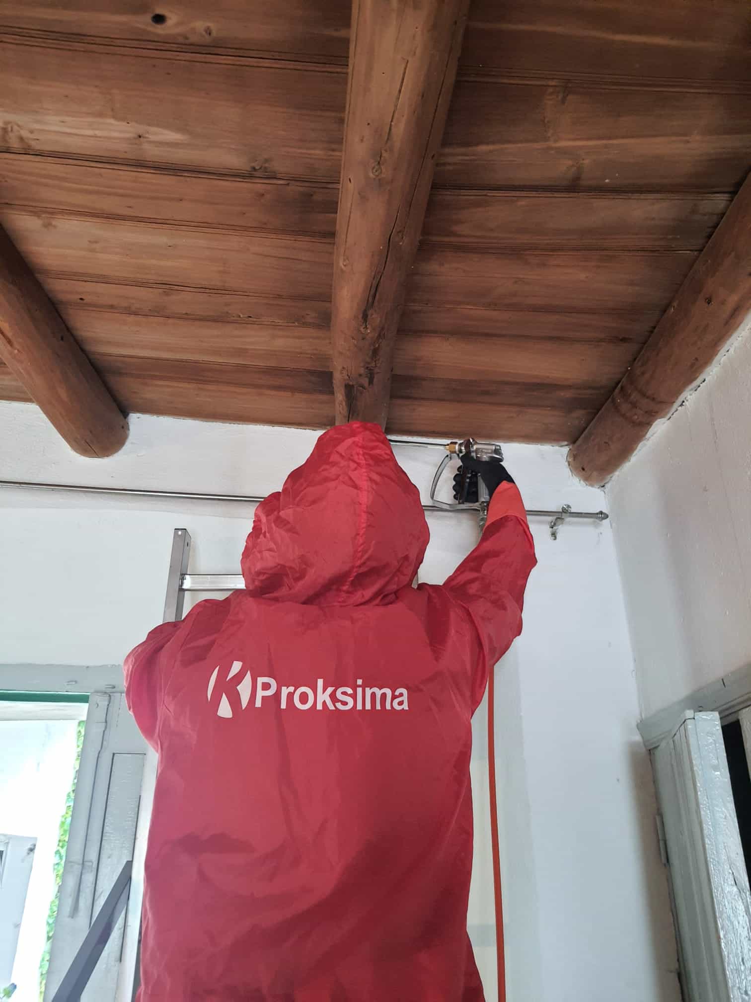 tratamiento de termitas en madera con Proksima