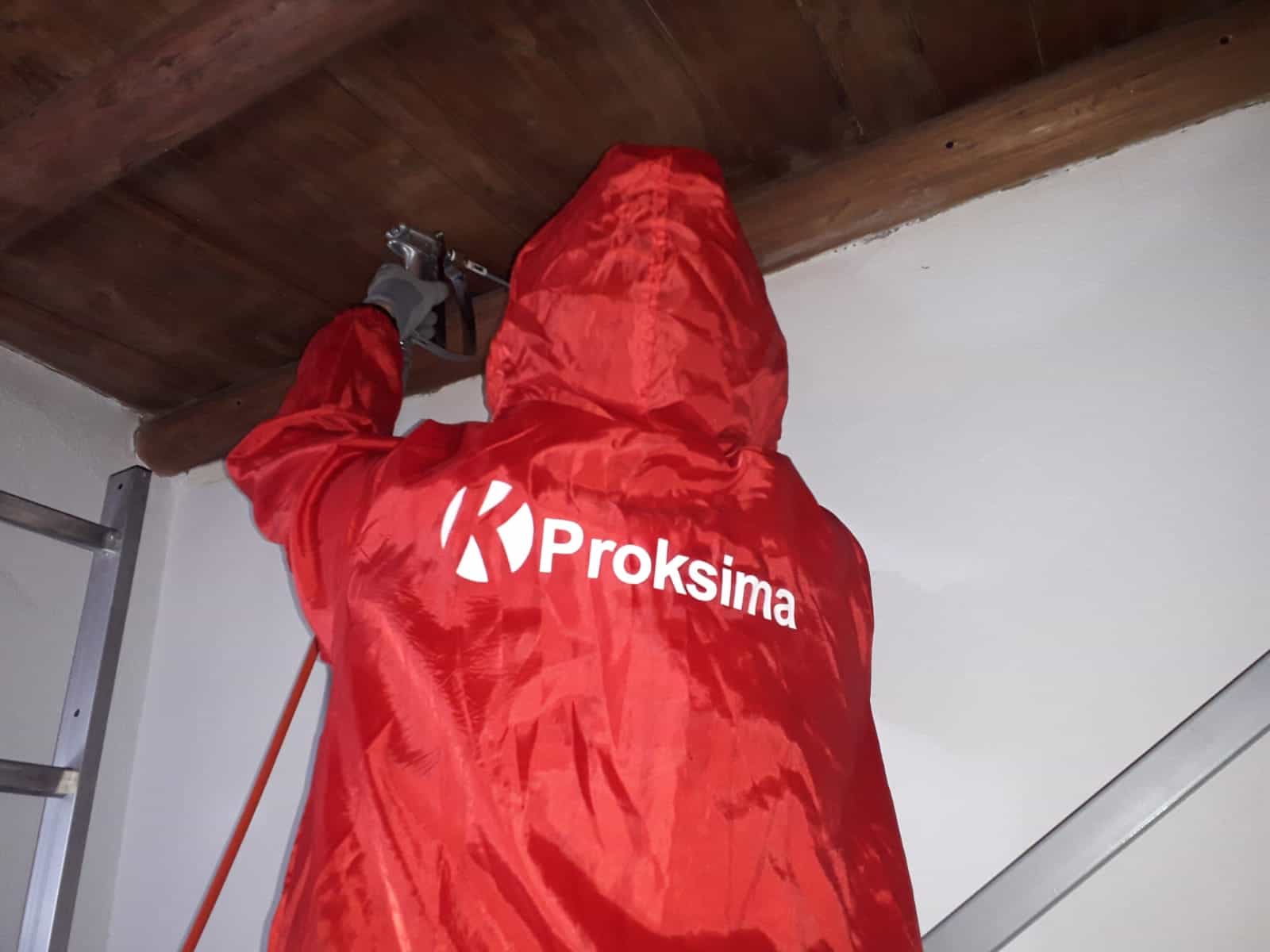 tratamiento contra termitas y carcoma de la empresa Proksima